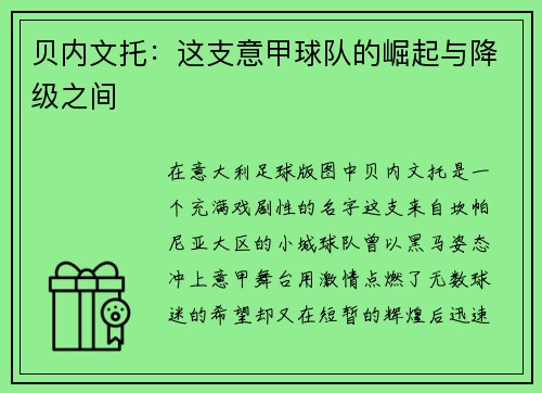 贝内文托：这支意甲球队的崛起与降级之间